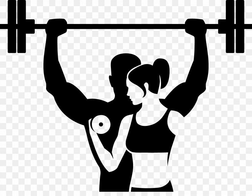 Gym & Fitness