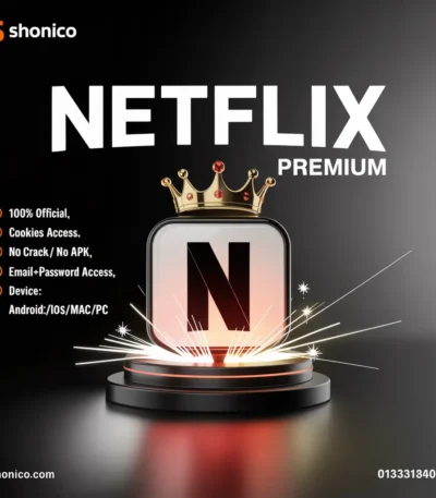 Netflix Subscription in Low Price